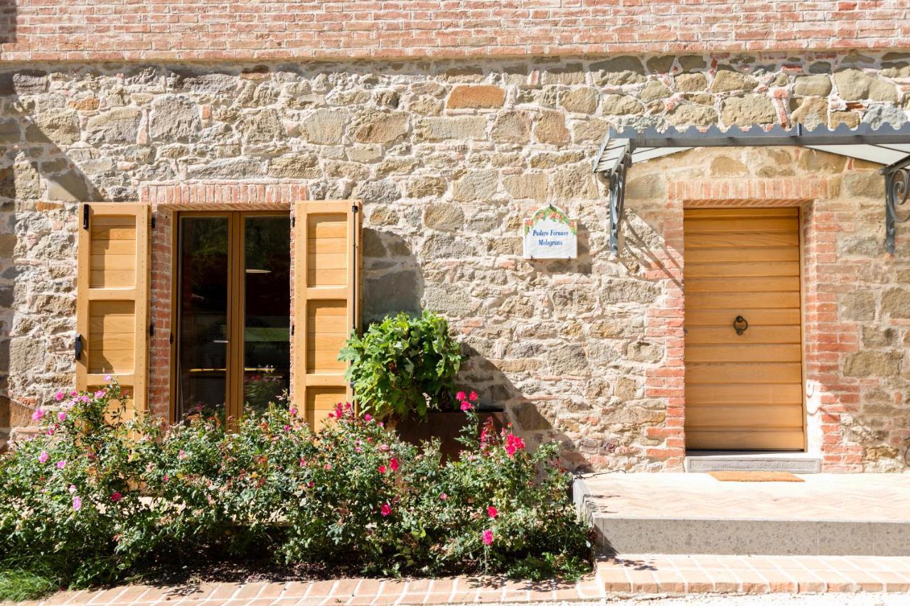 Villa Borgo Giorgione Monteleone dʼOrvieto Exterior foto